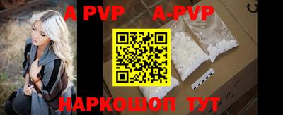 apvp Кингисепп