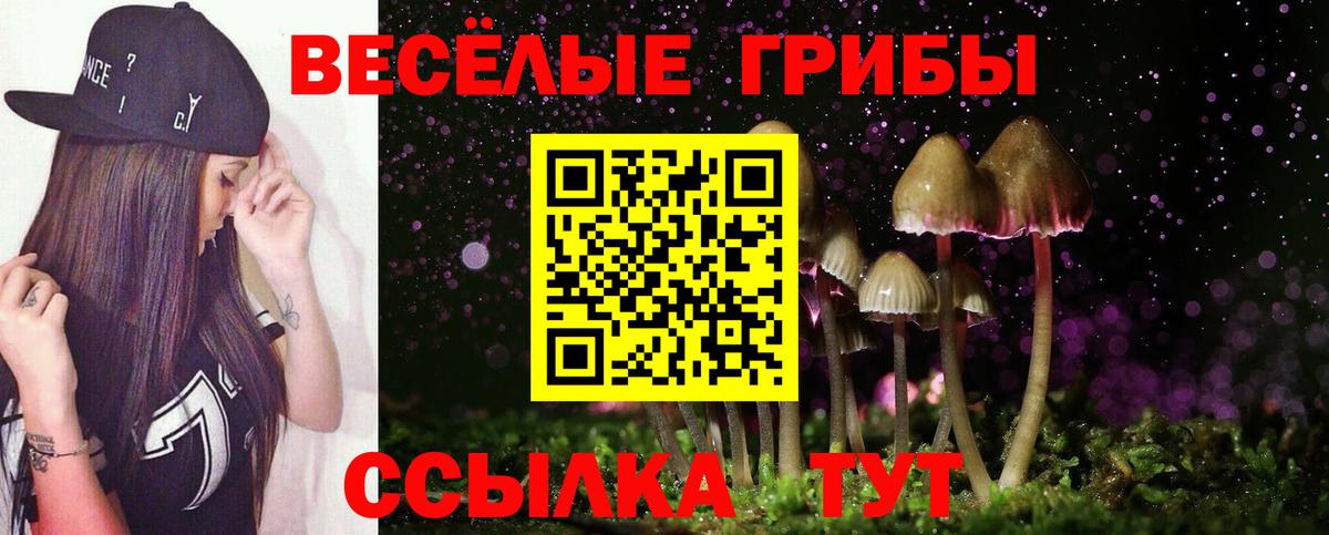 Галлюциногенные грибы прущие грибы  Галлюциногенные грибы мухоморы  Лениногорск  Вход с VPN 
