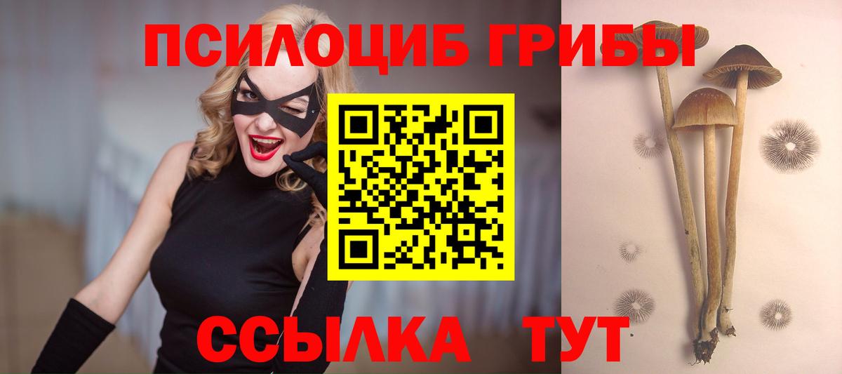 Галлюциногенные грибы мицелий Лениногорск